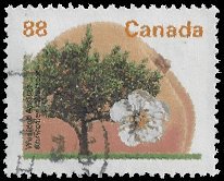 CANADA   #1373 USED (1)