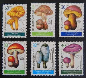 Mushrooms, (2397-Т)