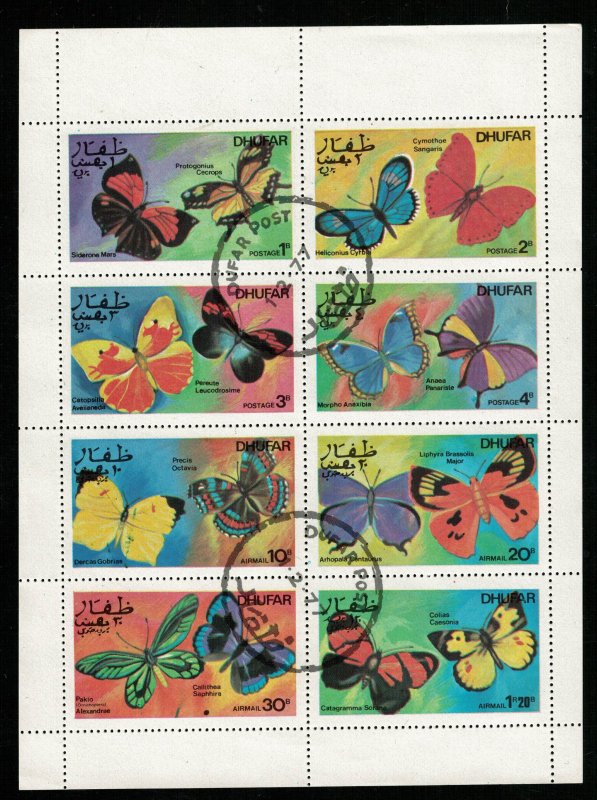 Butterflies, Oman (RT-784)