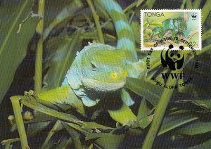 Tonga 1990 Maxicard Sc #752 32s Banded iguana WWF