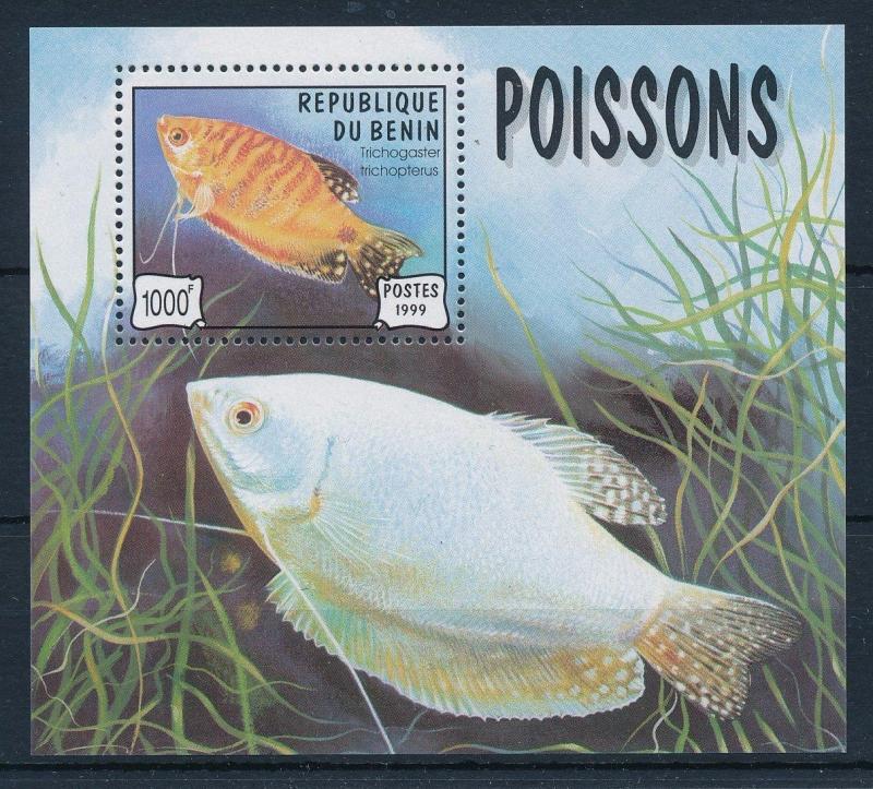 [31393] Benin 1999 Marine Life Fish MNH  Sheet