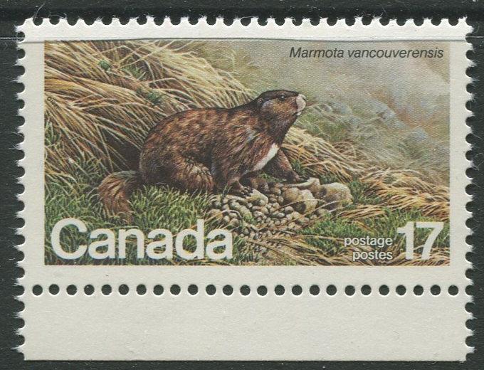 STAMP STATION PERTH Canada #883 Wildlife Issue 1981 MNH CV$0.30