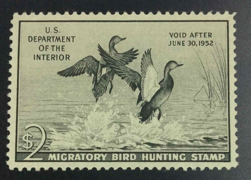 MOMEN: US STAMPS #RW18 DUCK MINT OG NH XF JUMBO LOT #73905