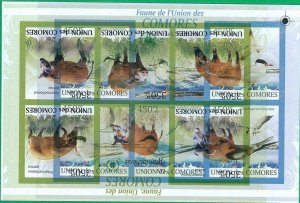 A0412 - COMOROS - ERROR IMPERF 2009 BIRDS & WILD PIGS Overlapping Prints-