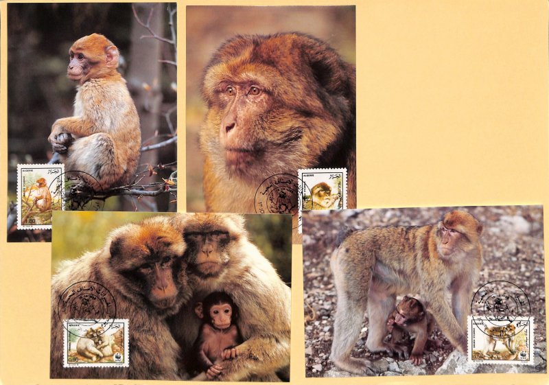 Algeria Algerie WWF World Wild Fund for Nature maxicards Barbary macaque monkey
