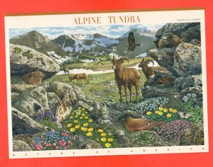 4198  Alpine Tundra  Sheet  41¢  FACE  $4.10 MNH 2007