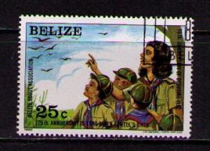 BELIZE Sc# 639 USED FVF CTO Scouts Bird Watching