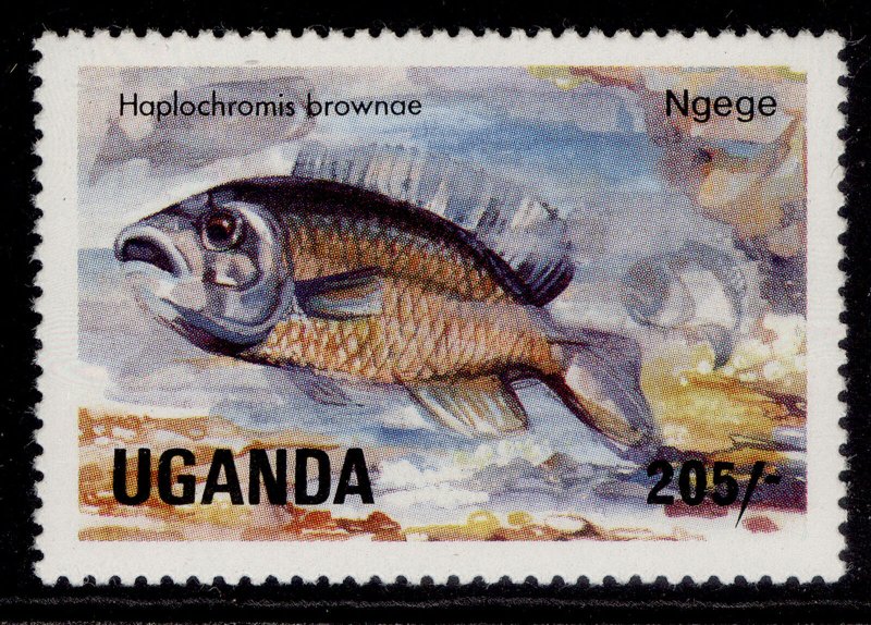 UGANDA QEII SG463, 1985 205s Browns Haplochromis, NH MINT. 