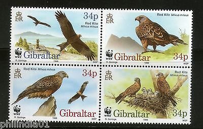 Gibraltar 1996 WWF Red Kit Eagle Birds of Prey Wildlife Fauna Sc 716 MNH # 204