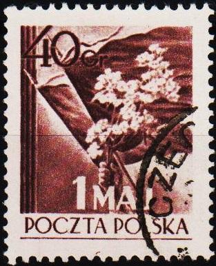 Poland. 1954 40g S.G.849 Fine Used