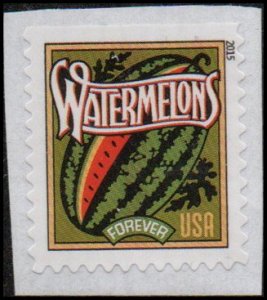 United States 5004 - Mint-NH - (49c) Seed Packets / Watermelon (2015) (cv $1.50)