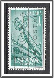 Spanish Sahara #160 Insects Used