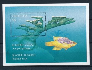 [32171] Grenada 1995 Marine life fish corals Souvenir Sheet MNH