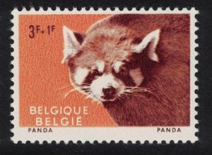 Belgium Panda Animals of Antwerp Zoo SG#1782