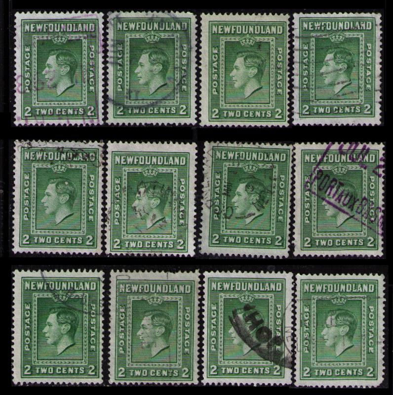 NEWFOUNDLAND 1938 DEALER LOT 12 X 2c #245 (Perf 13.5) KING GEORGE VI STAMPS