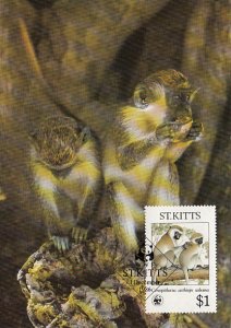 St. Kitts 1986 Maxicard Sc #192 $1 Green monkey WWF