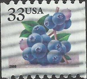 # 3404 USED BLUEBERRIES