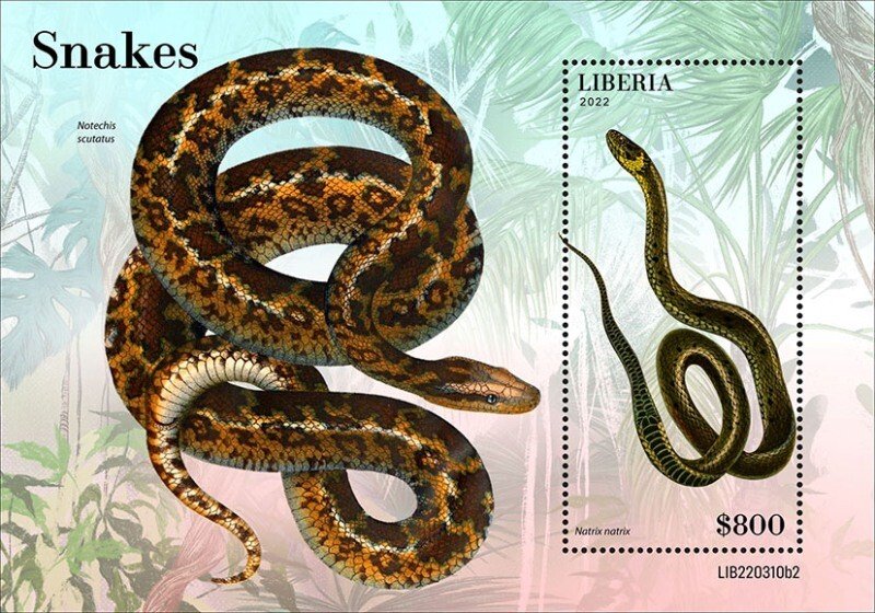 Liberia - 2022 Grass Snake - Stamp Souvenir Sheet - LIB220310b2