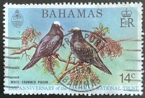 Bahamas #363 Used CDS Single White-crowned Pigeons L43