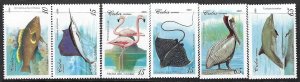 Cuba 3603-08 MNH MARINE FAUNA 141B