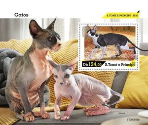 St Thomas - 2020 Cornish Rex Cat Breed - Stamp Souvenir Sheet - ST200606b