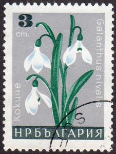 Bulgaria 1560 - Cto - 3s Snowdrop (1966)