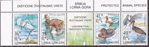 Serbia - 2005 Endangered Birds, Grebe, Duck - 4 Stamp Strip - Scott #273