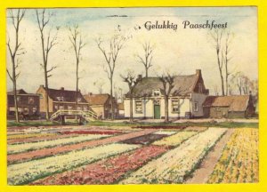 Post Card 1946 Netherlands Sc 216-217 Gelukkig Paashfeest 1940-1945 Stichting