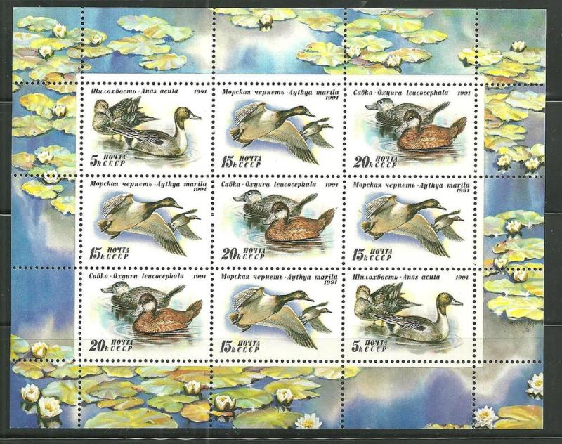 Russia 6011A MNH Sheet Ducks