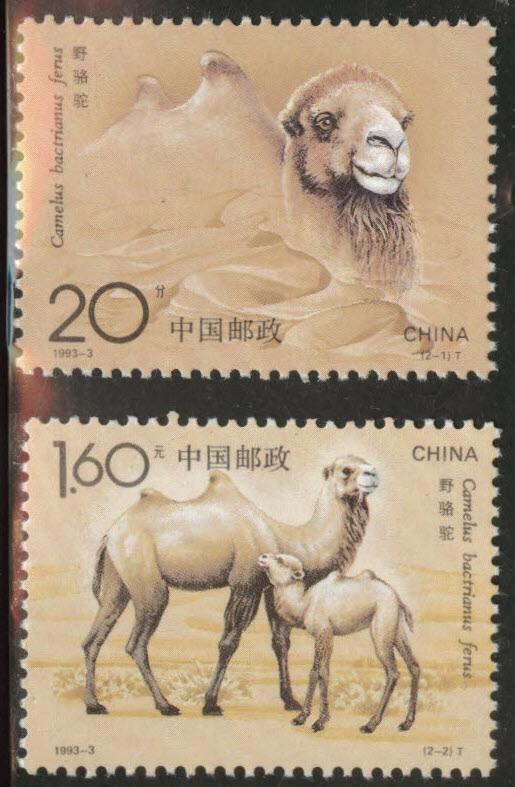 CHINA PRC Scott 2433-4 MNH** 1993 camel set 