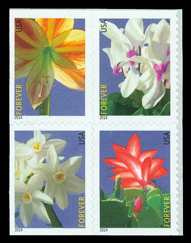 Scott 4862-4865 Forever Winter Flowers Block of 4 Mint NH