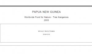 PAPUA NEW GUINEA STAMP ALBUM PAGES 1901-2011 (244 PDF digital pages)