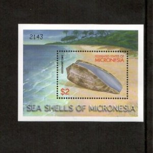 Micronesia 2001 - Sea shells - Souvenir Stamp Sheet - Scott #460 - MNH