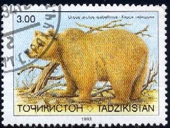 Brown Bear, Ursus Arctos, Tajikistan stamp SC#15 used