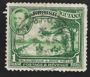 British Guiana #230 1c Plowing Rice Field