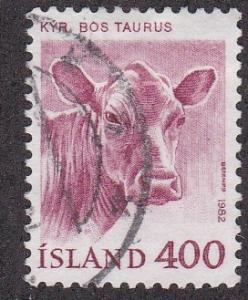 Iceland # 557, Cow, Used, 1/3 Cat.