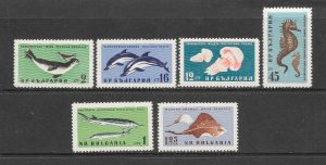 MARINE LIFE - BULGARIA #1164-9  MNH