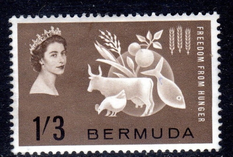 BERMUDA-   1963 - FREEDOM FROM HUNGER   - LIGHTLY  HINGED