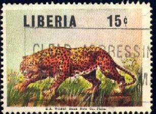 Leopard, Liberia stamp SC#455 Used