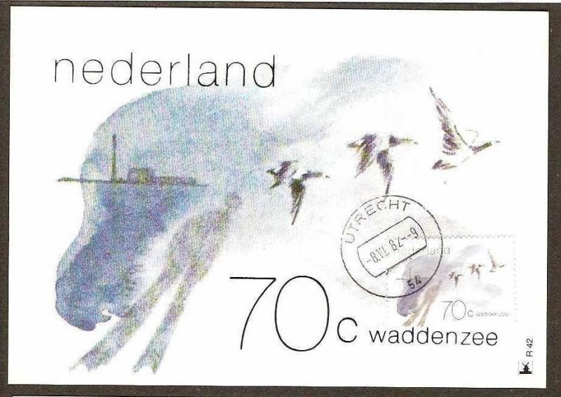 NETHERLAND 1982 COTTON WOOL SEA, BIRDS SET OF 2 MAXIMUM CARDS # 7843