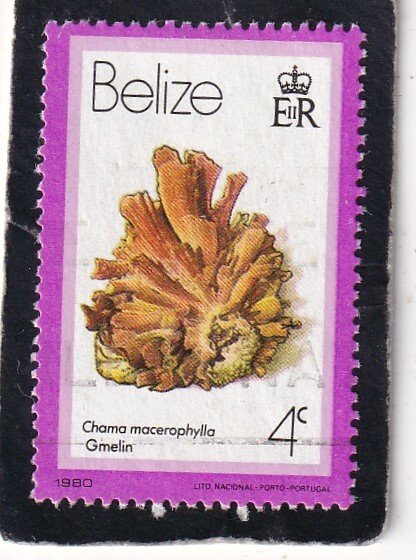 Belize   #   474   used