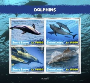 Sierra Leone - 2020 Dolphins, Spinner - 4 Stamp Sheet - SRL200637a