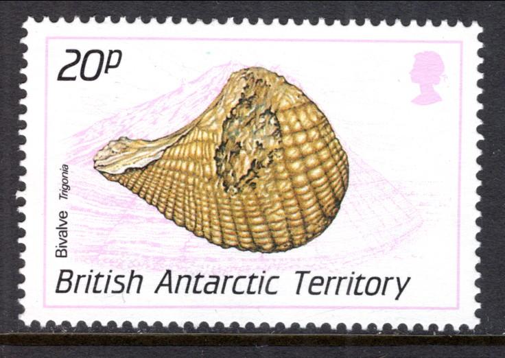 British Antarctic Territory 163 Seashell MNH VF