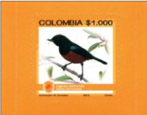 baja.O)2015 COLOMBIA, BIRD,  ENDEMIC BIODIVERSITY ENDANGERED, BI