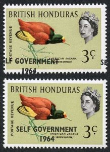 British Honduras SG218 3c with Self Government 1964 Overprint MISPLACED U/M