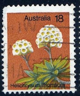 Australia #564 Helichrysum Thomsonii, Flower, 1975. used