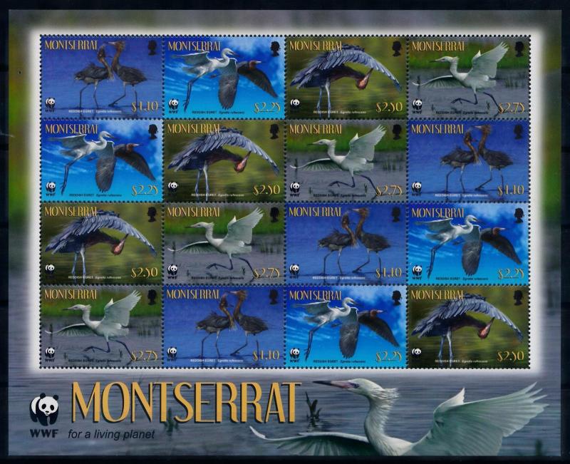 [66863] Montserrat 2010 Birds Egret WWF Sheet MNH