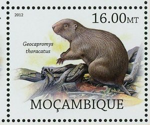 Rodents Stamp Pseudomys Gouldii Megalomys Luciae Souvenir Sheet MNH #5692-5699