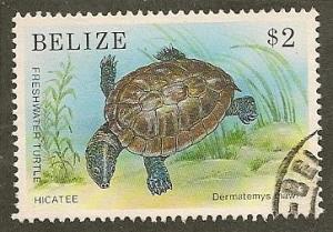 Belize   Scott     950     Turtle    Used