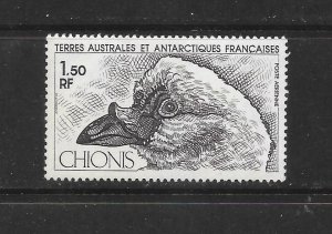 BIRDS - FRENCH SOUTHERN ANTARCTIC TERRITORIES #C65  MNH